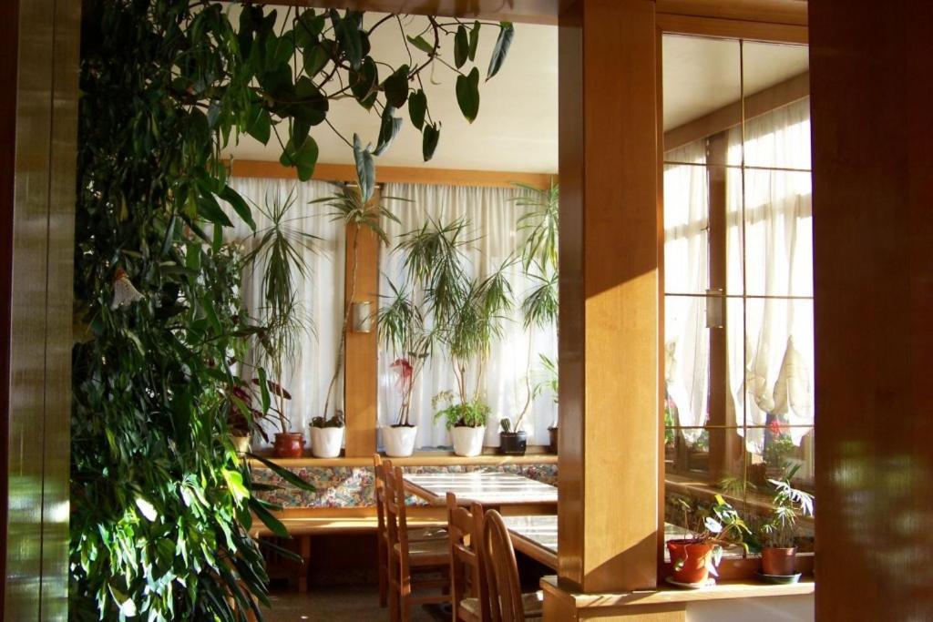 Hotel Brustolon Dont Exterior photo